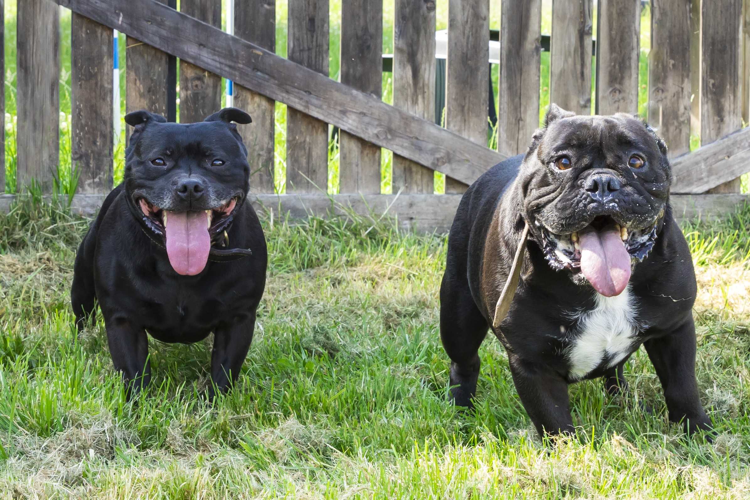 Photo de Gaston et Nakia